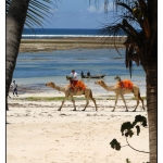 Kenia - Strand und Safari